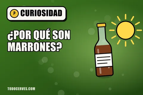 Botella de cerveza marrón bajo un sol brillante, ilustración sobre el daño de la luz a la cerveza