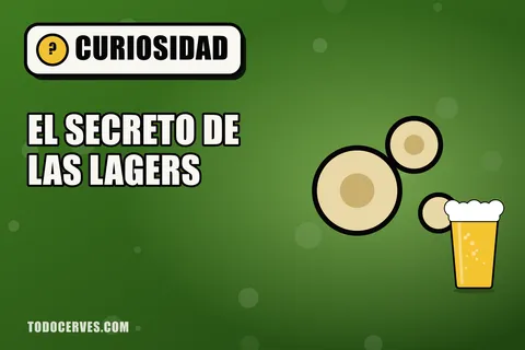 Dos células de levadura brotando junto a un vaso de cerveza, ilustración sobre las levaduras de la cerveza